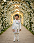 Prince Charm Pastel Sherwani