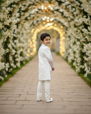 Prince Charm Pastel Sherwani